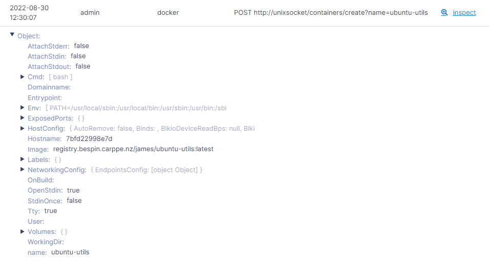 Portainer activity log, inspecting a single event's payload